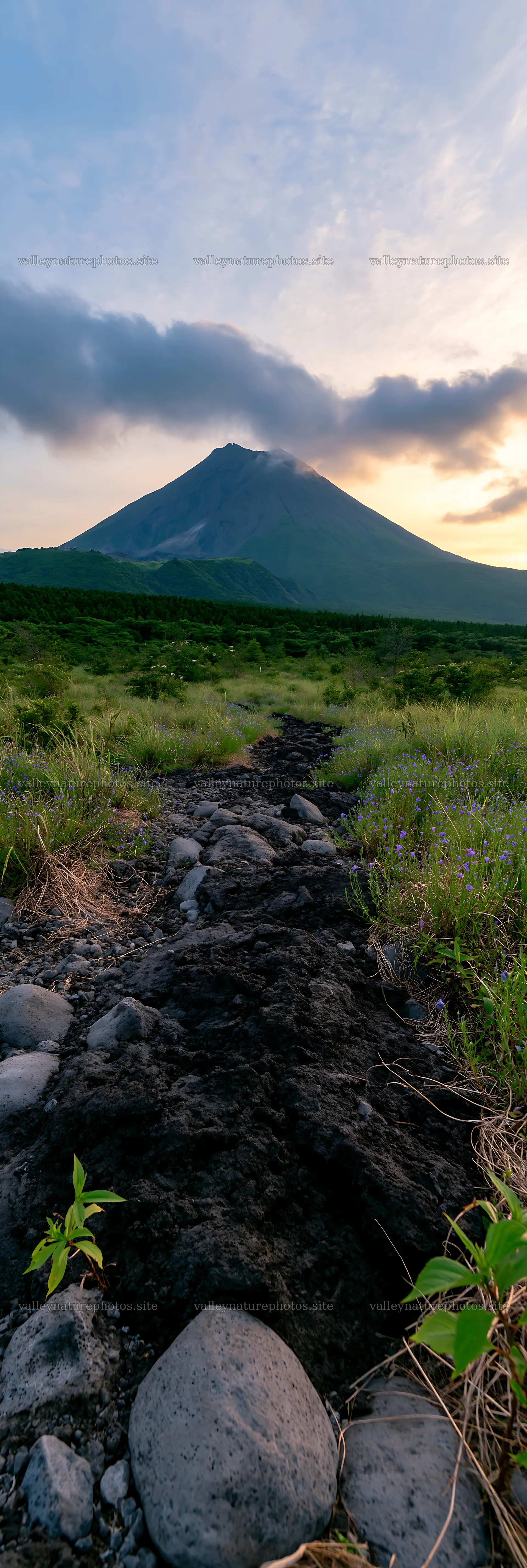 Kagoshima volcanic meadow with pumice foreground under sunset – nature photography 4602x13690