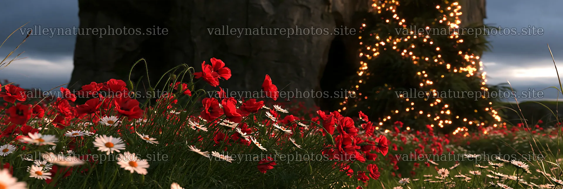 Christmas tree beside cave in meadow with flowers – nature photography 13690x4602