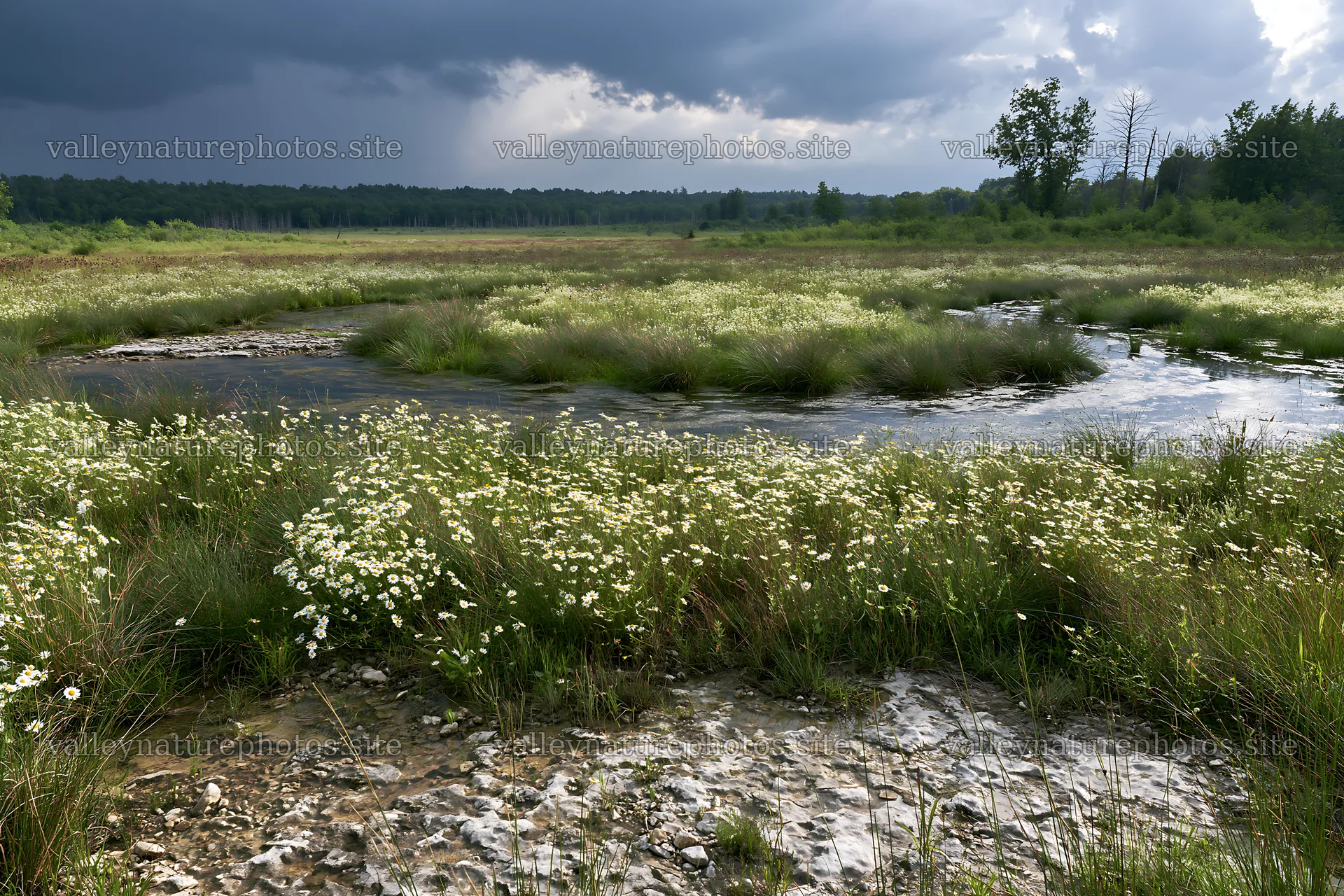 High contrast winding stream through a meadow in nature – nature photography 9722x6480