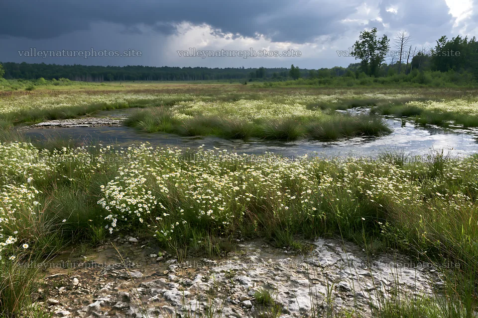 High contrast winding stream through a meadow in nature – nature photography 9722x6480