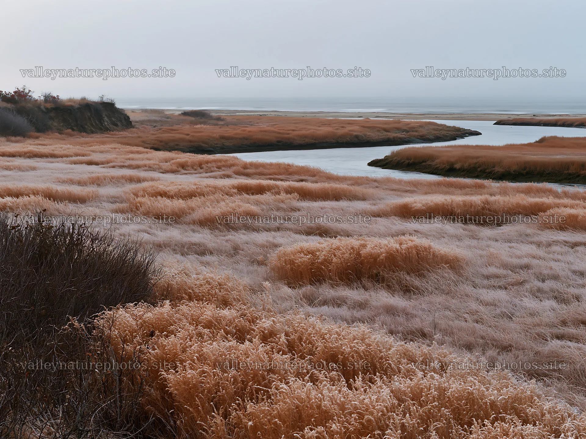 Frosty coastal meadow with frozen grasses and water body – nature photography 9174x6866