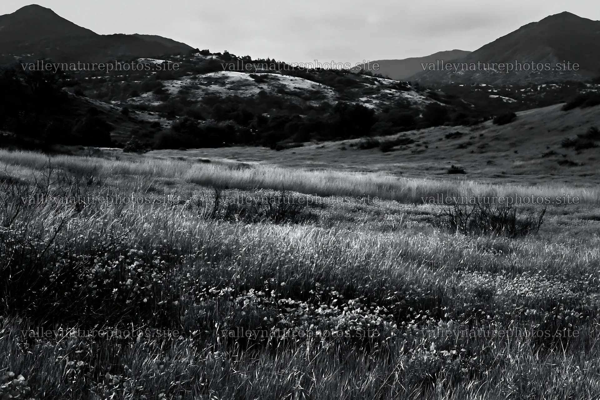 Cloudy foothill meadow with grass and distant mountains – nature photography 9722x6480