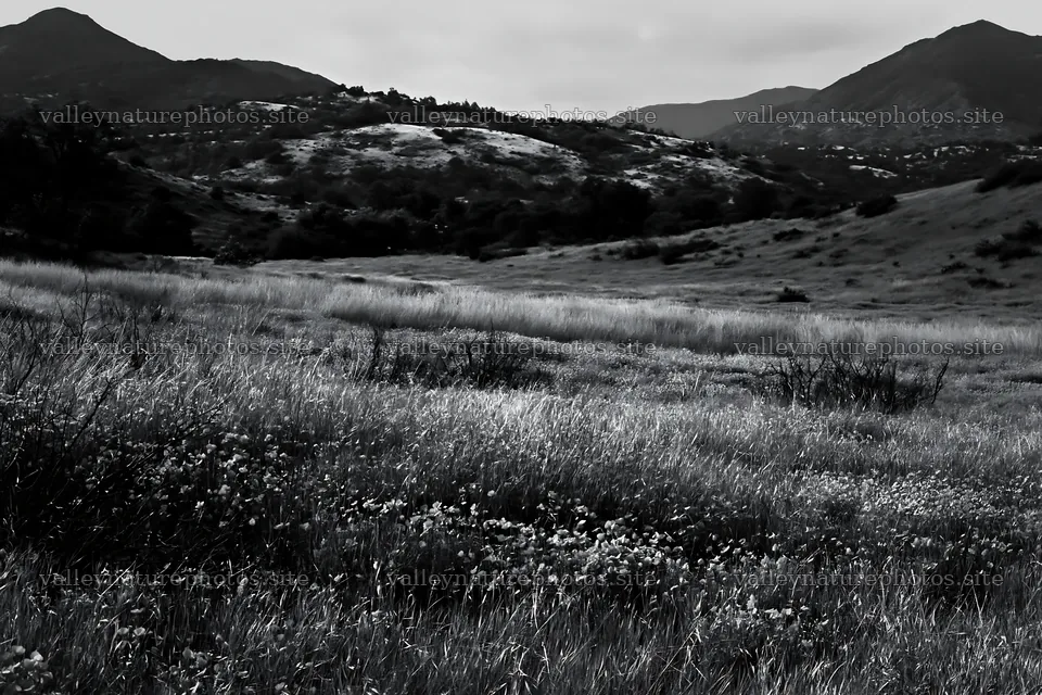 Cloudy foothill meadow with grass and distant mountains – nature photography 9722x6480