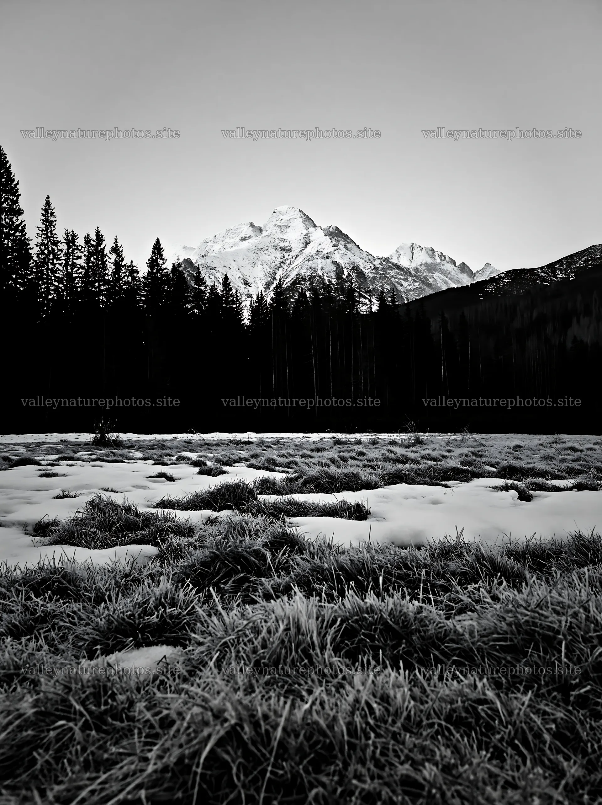 Tatra Mountains meadow in spring during snowmelt – nature photography 6866x9174