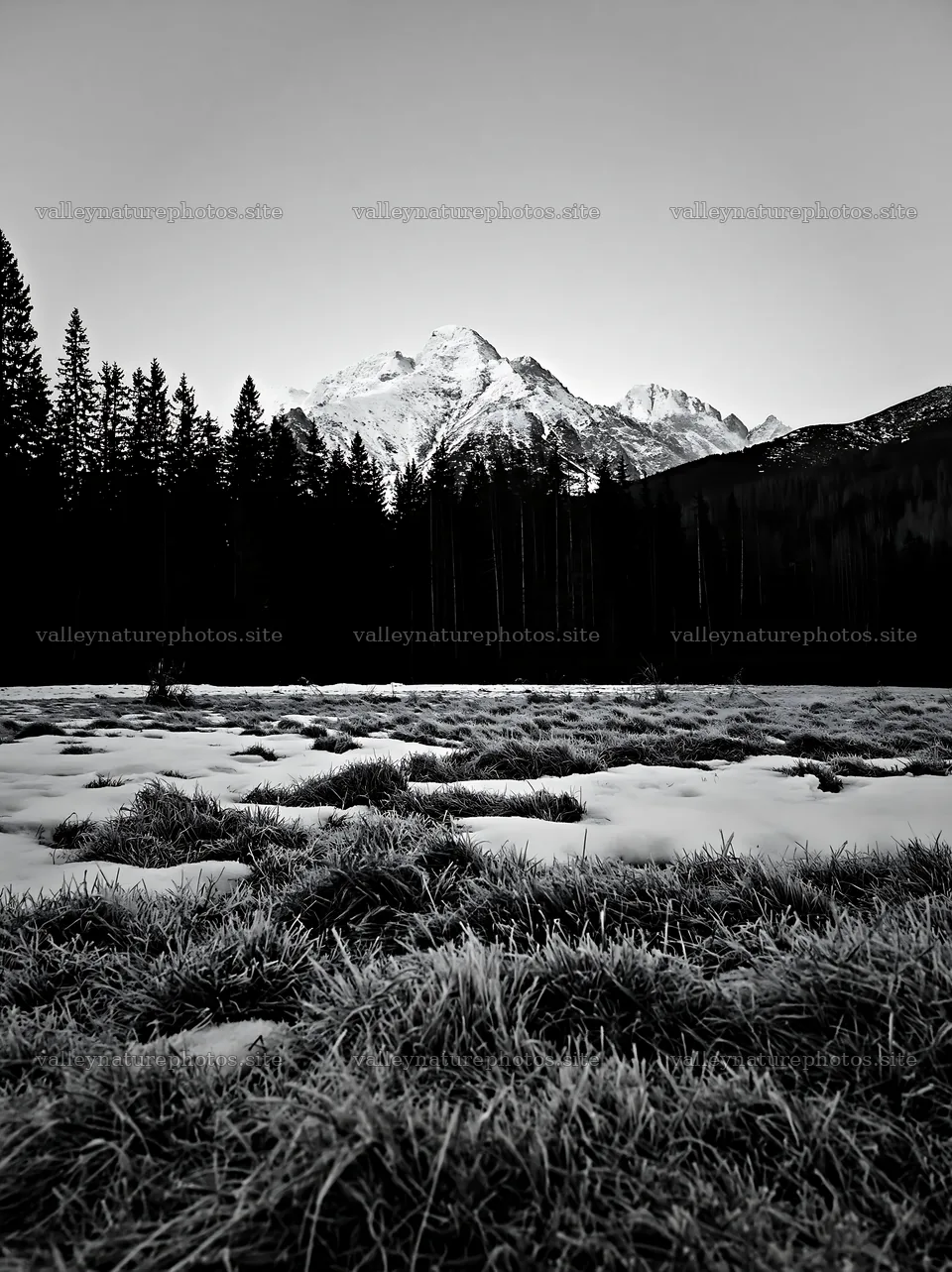 Tatra Mountains meadow in spring during snowmelt – nature photography 6866x9174