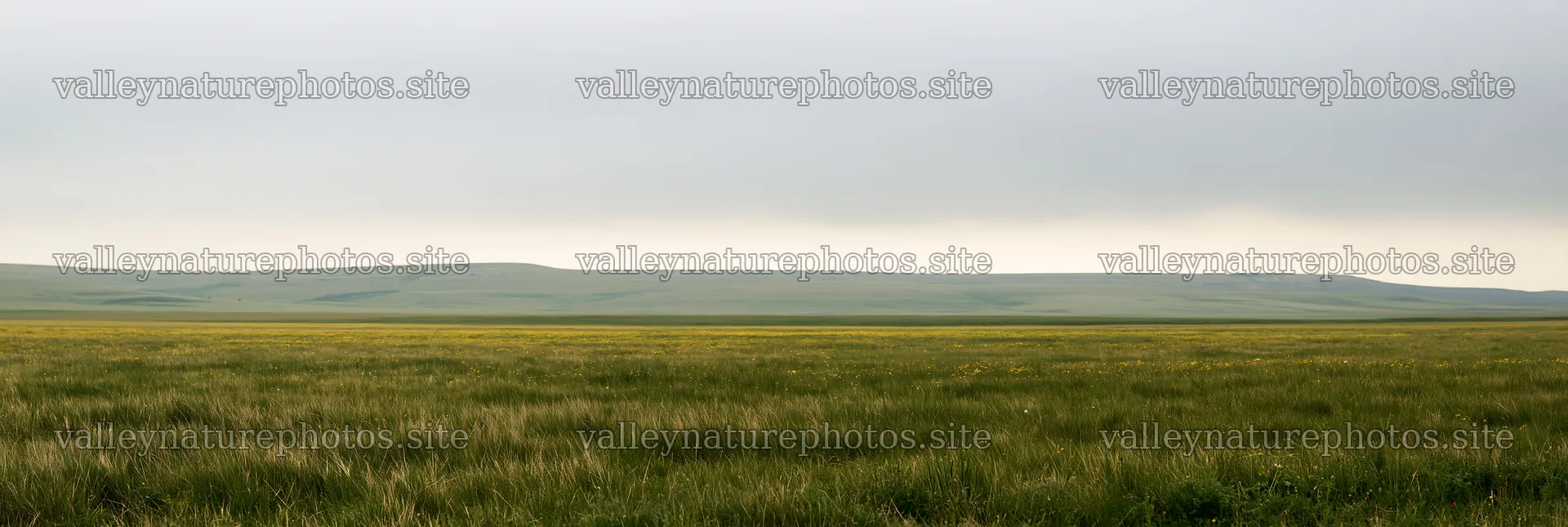 Cloudy limestone meadow with grass and hills in the background – nature photography 13690x4602