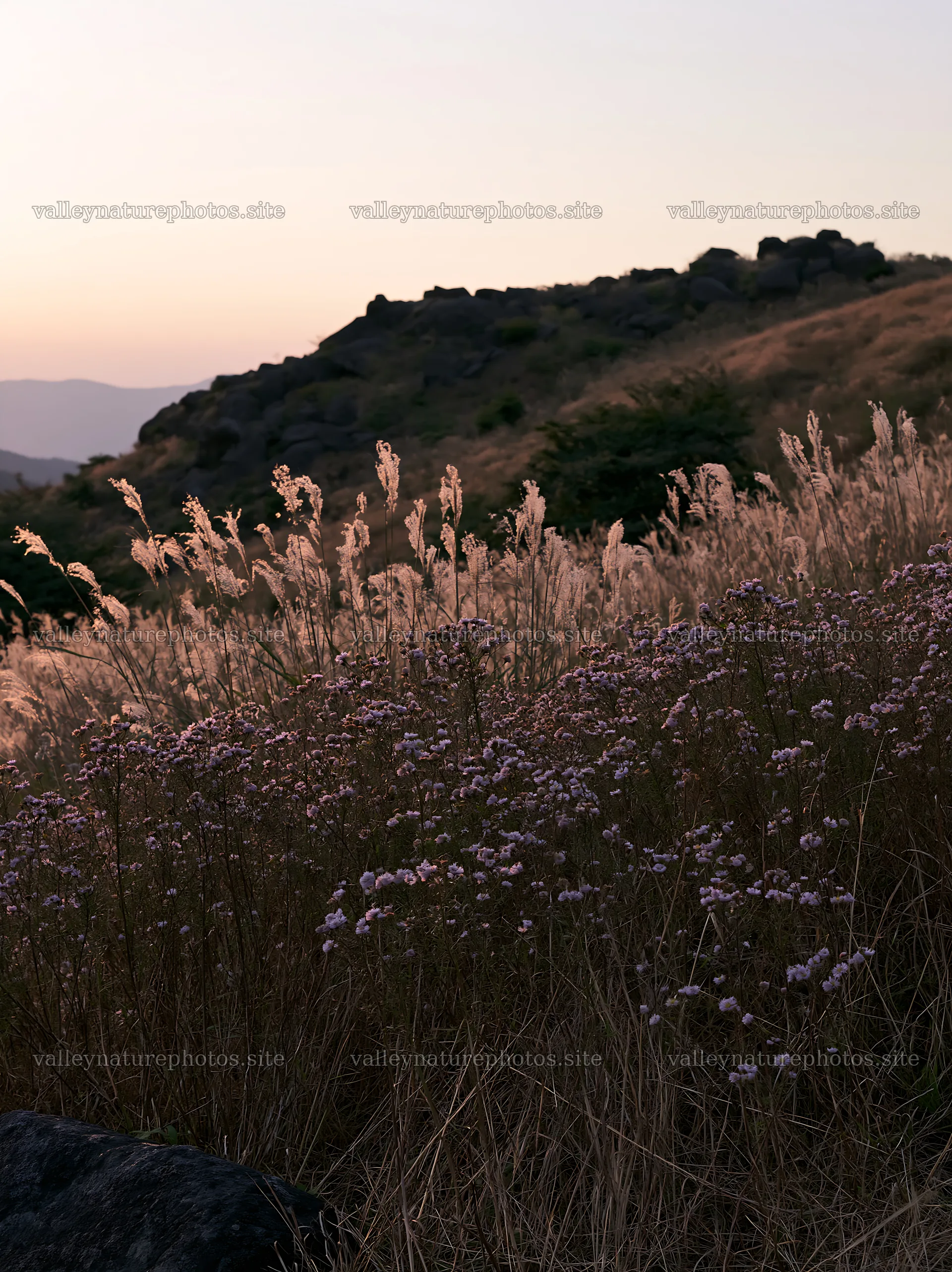 Oita highland meadow with granite stones at sunset – nature photography 6866x9174