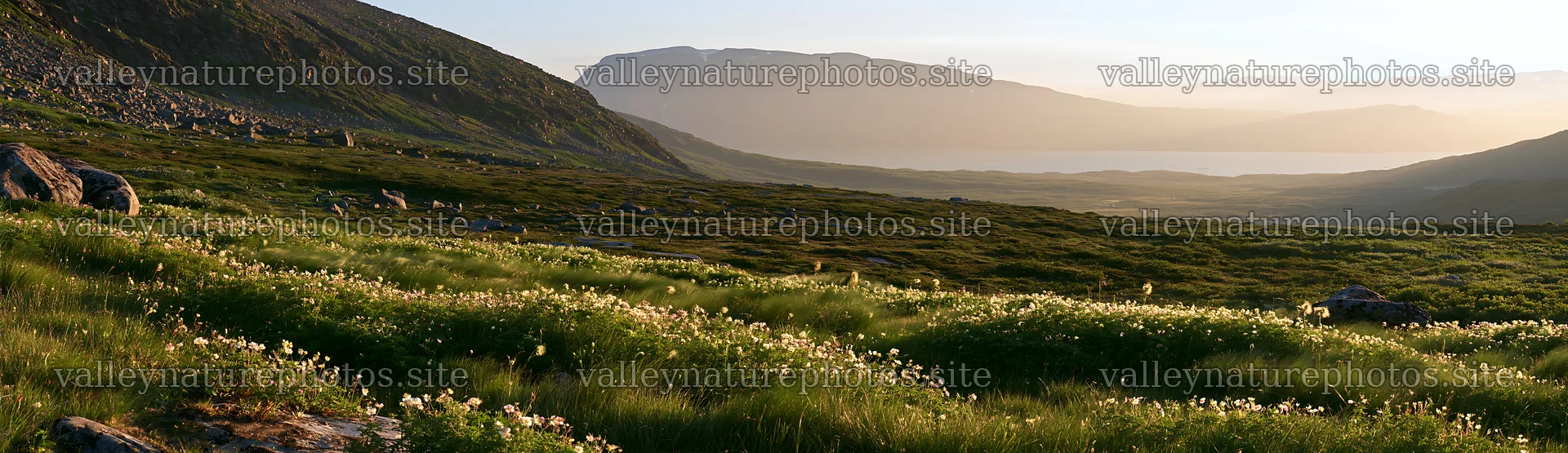 Meadow beneath crags with scattered flowers and distant mountains – nature photography 14762x4268