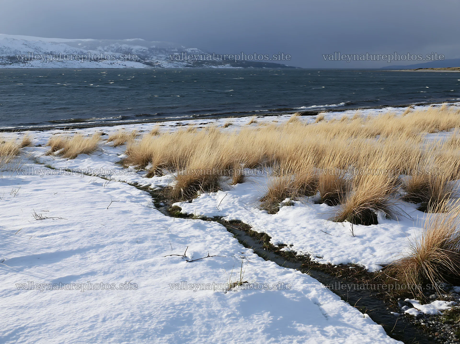 Snowy beach meadow with grass and water in winter – nature photography 9174x6866