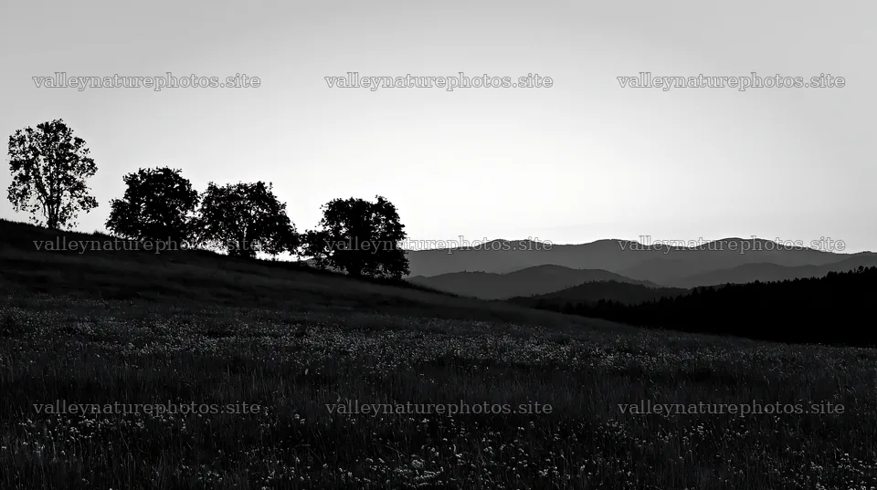 Highland apple meadow with trees and mountains at sunset – nature photography 10608x5938