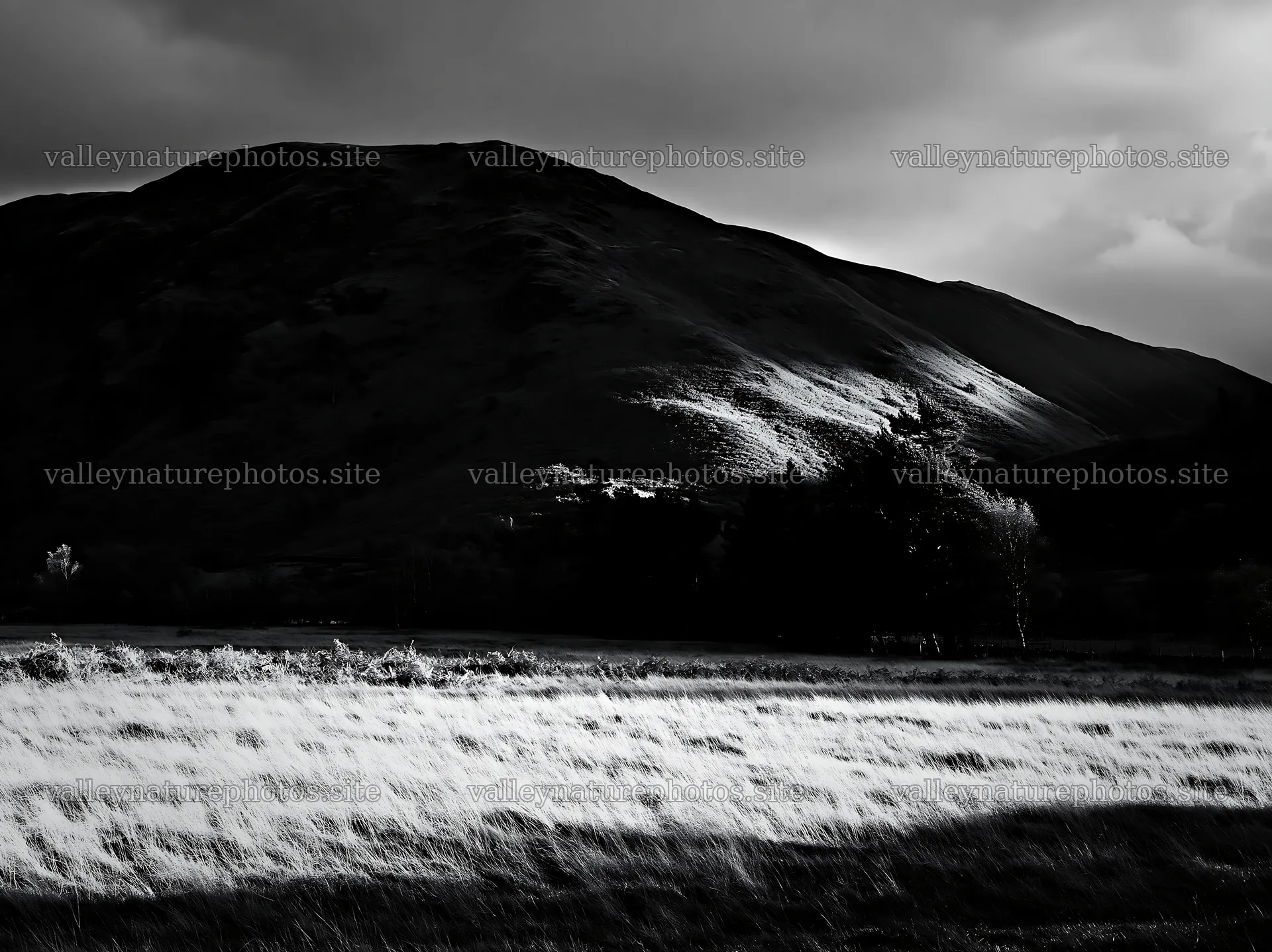 Autumn meadow with hills in visible light and shadow – nature photography 9174x6866