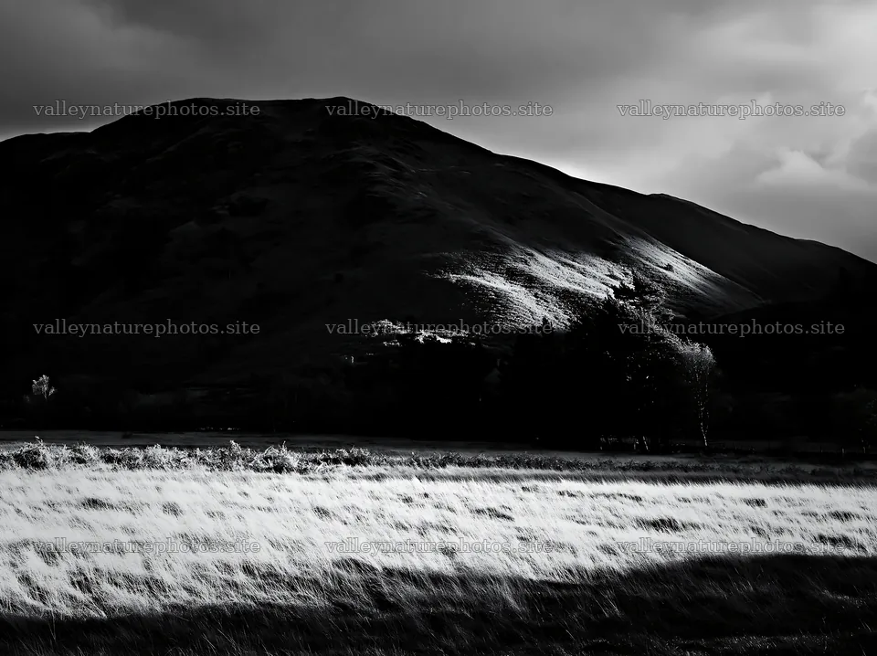 Autumn meadow with hills in visible light and shadow – nature photography 9174x6866