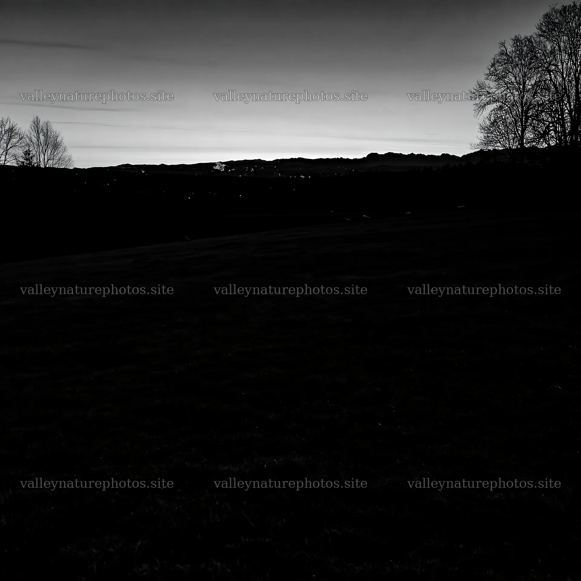 Rolling valley meadows at dusk with silhouetted trees – nature photography 7938x7938
