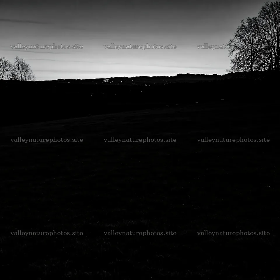 Rolling valley meadows at dusk with silhouetted trees – nature photography 7938x7938