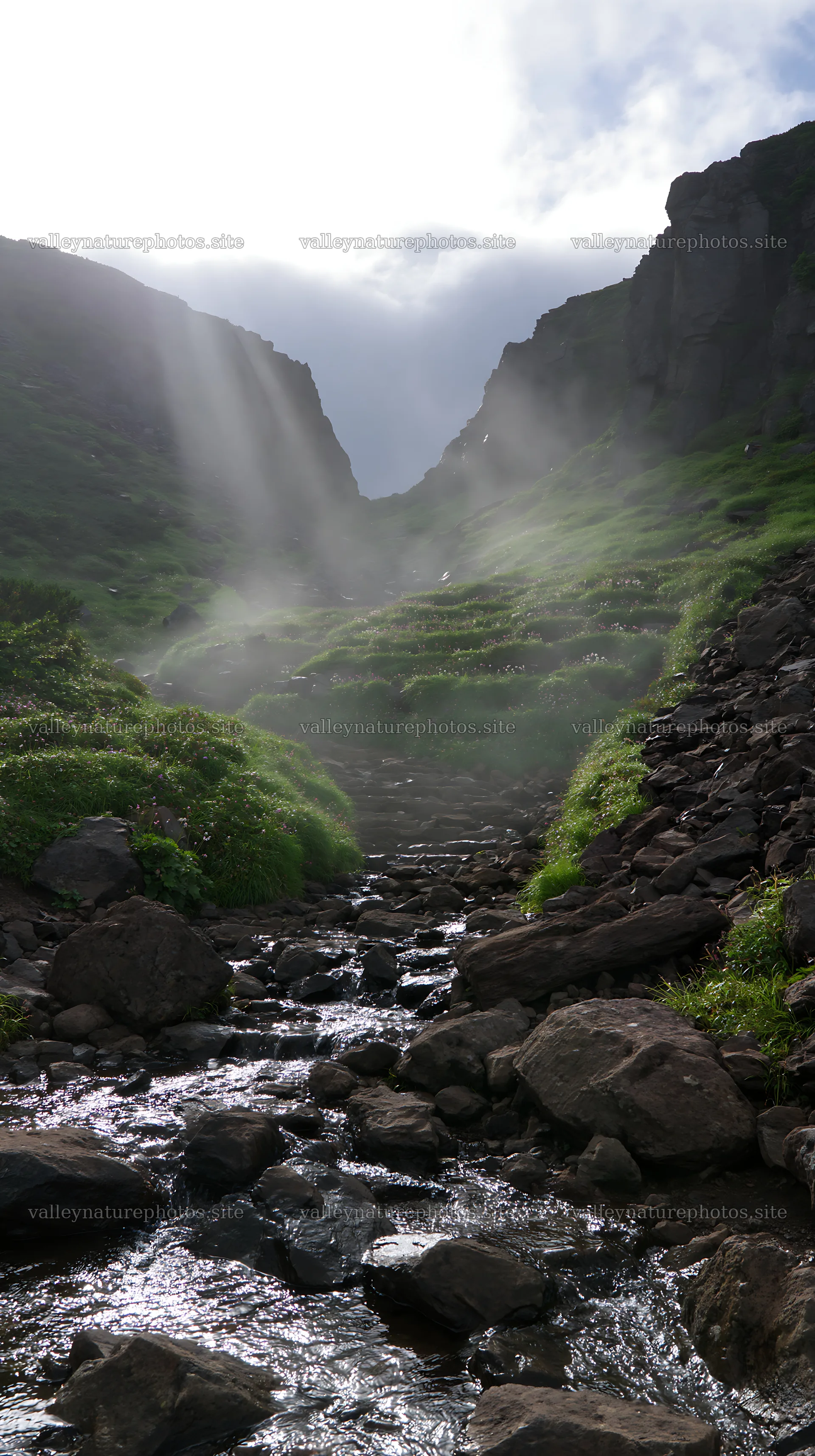 Daisetsuzan alpine meadow with light rays and flowing stream – nature photography 5938x10608