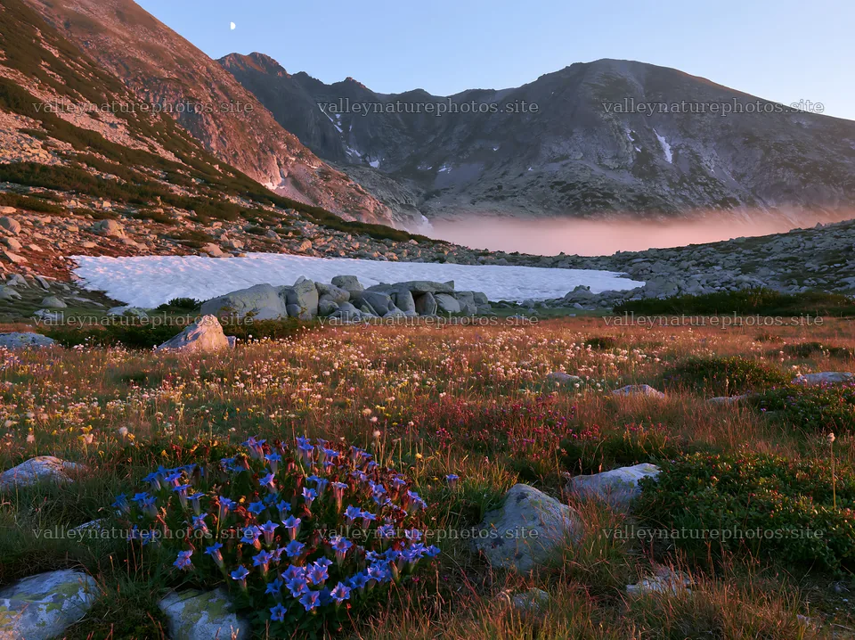 Moonrise over a meadow with wildflowers and mountains – nature photography 9174x6866