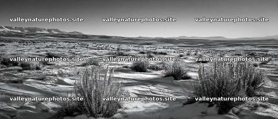 Seedhead meadow with snow and mountains in the background – nature photography 12116x5200