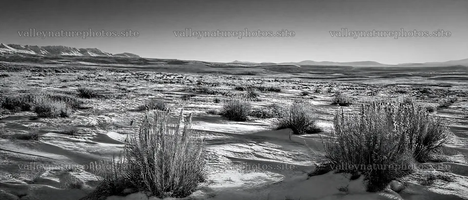 Seedhead meadow with snow and mountains in the background – nature photography 12116x5200