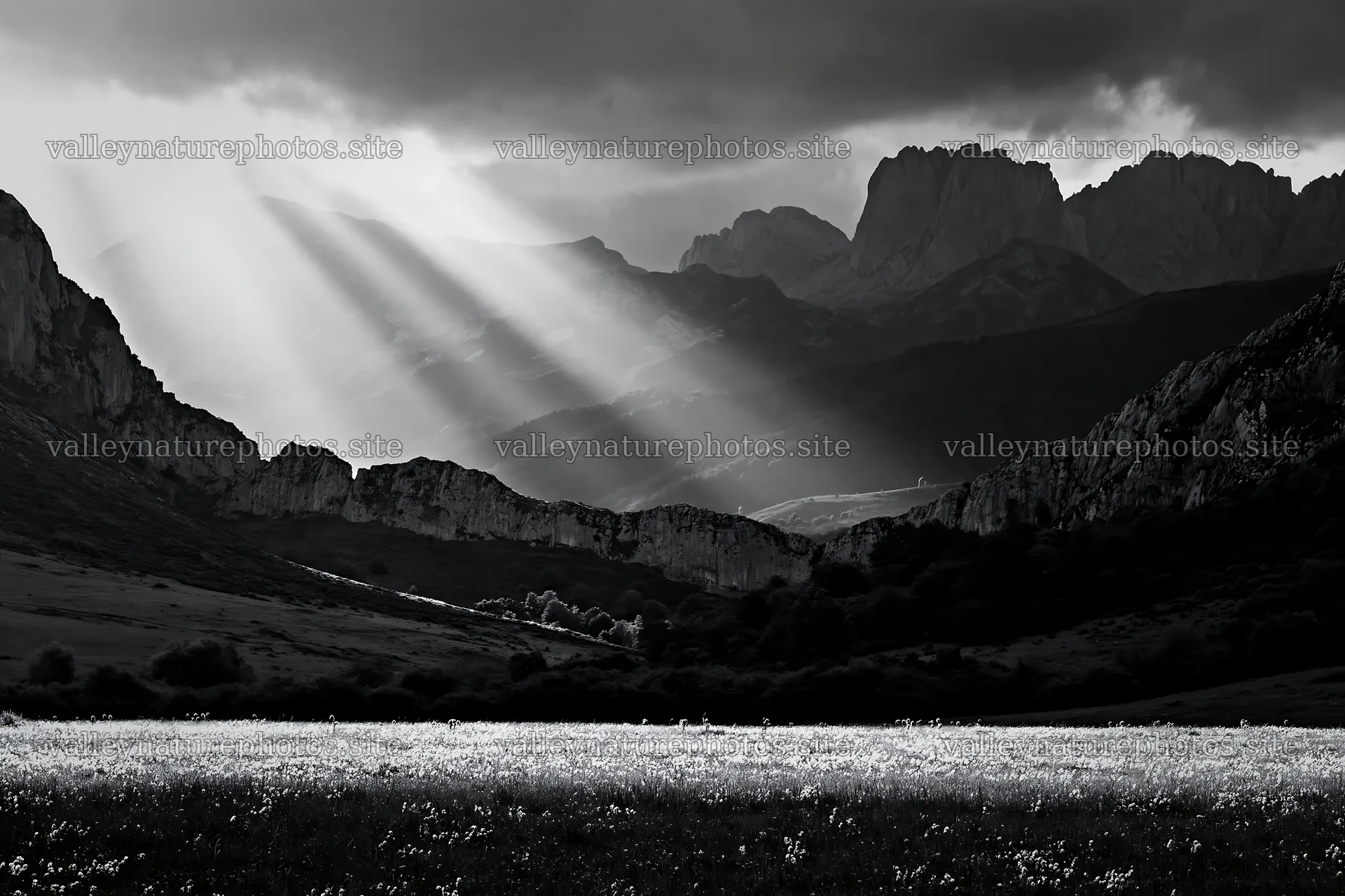 Sunrays shining on Picos de Europa meadow – nature photography 9722x6480