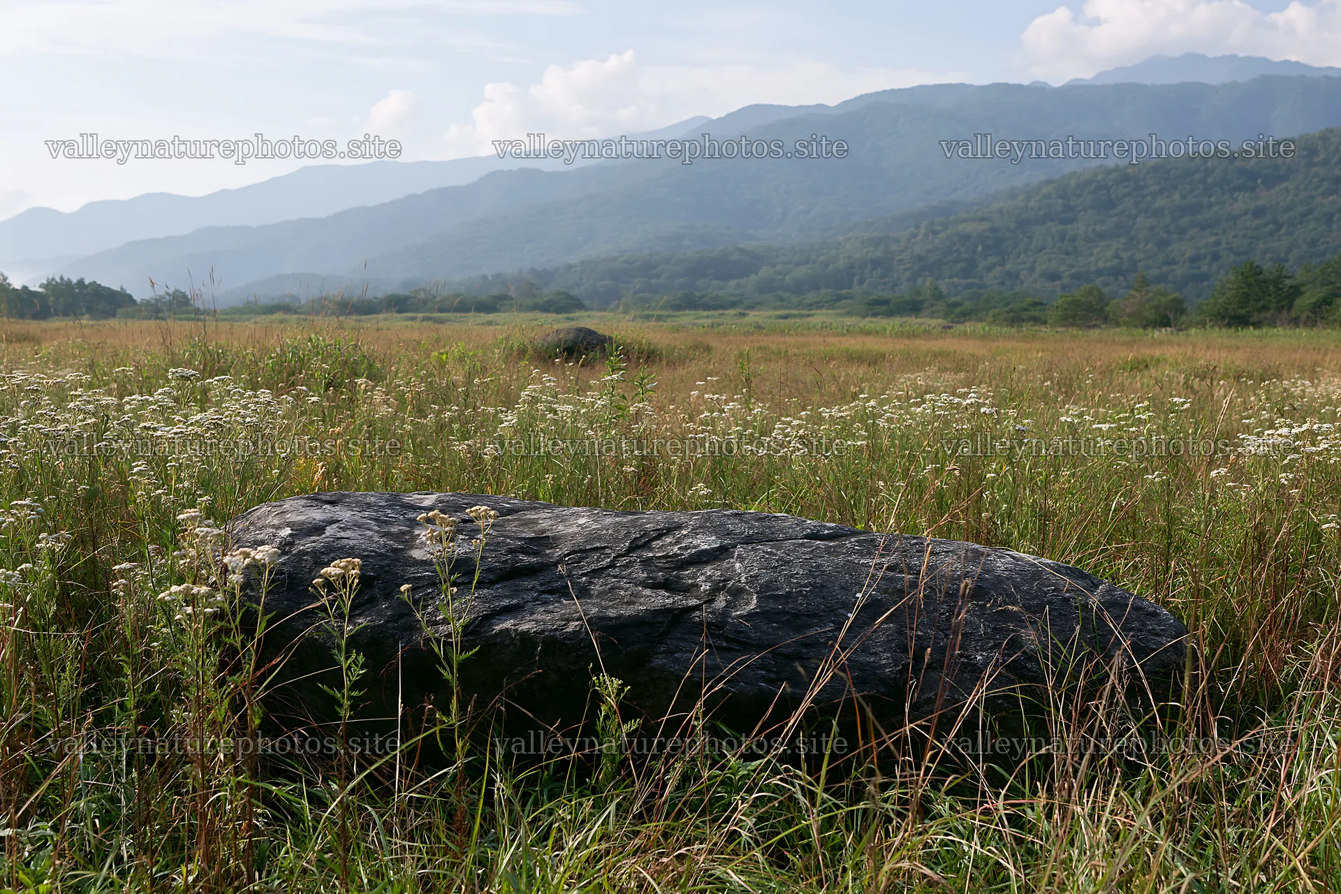 Drought resilient meadow with granite boulders in Nagano – nature photography 9722x6480