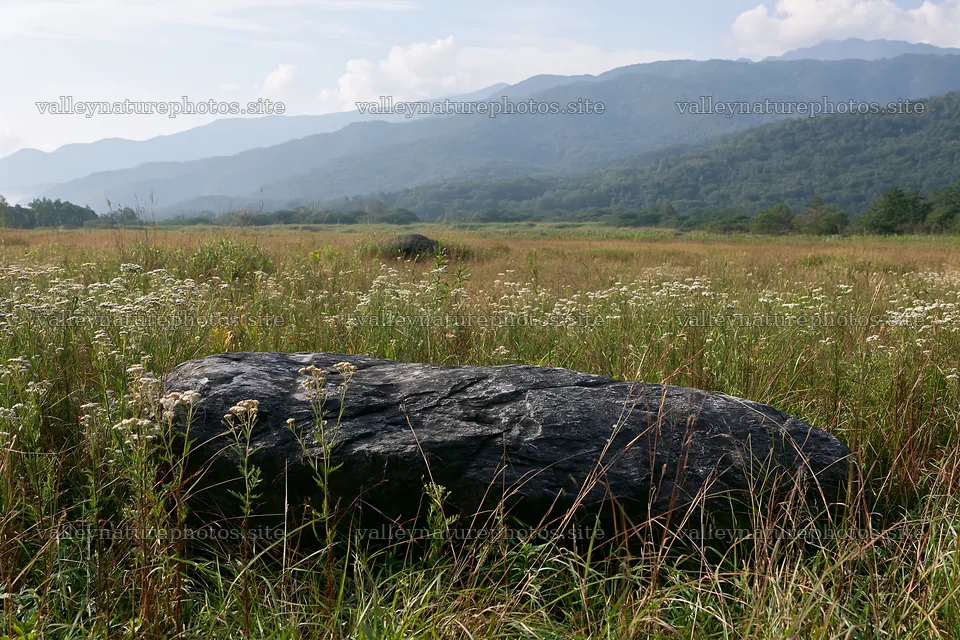 Drought resilient meadow with granite boulders in Nagano – nature photography 9722x6480