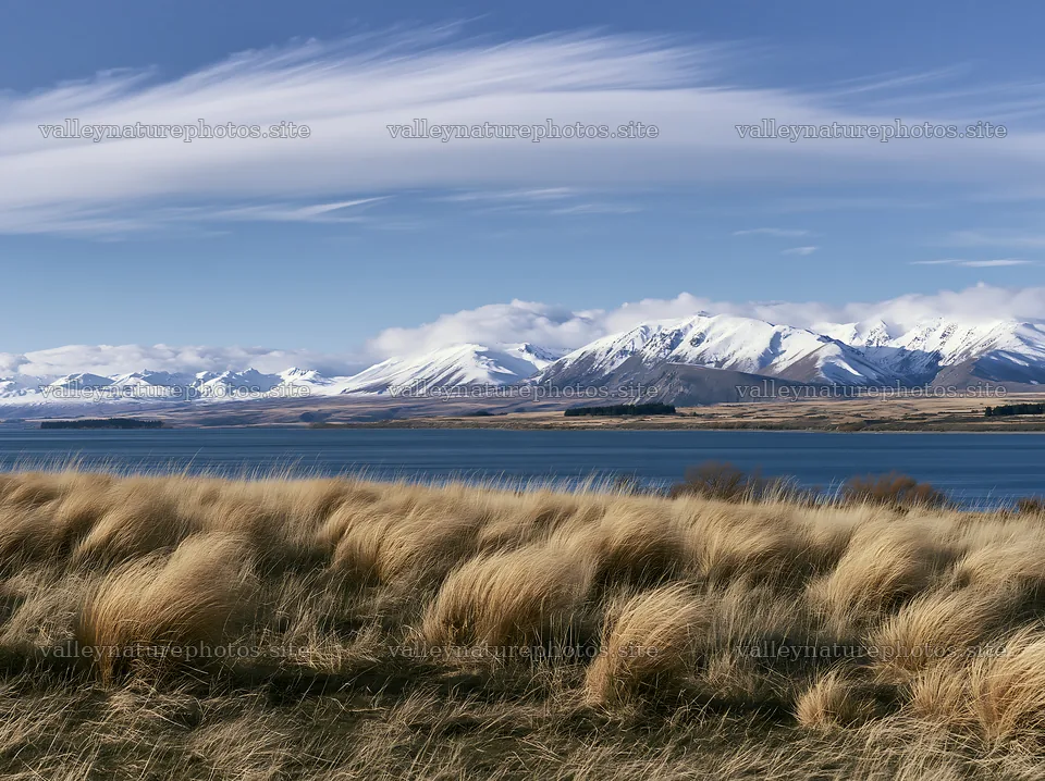 Meadow at Lake Tekapo with snowy alps in the background – nature photography 9174x6866