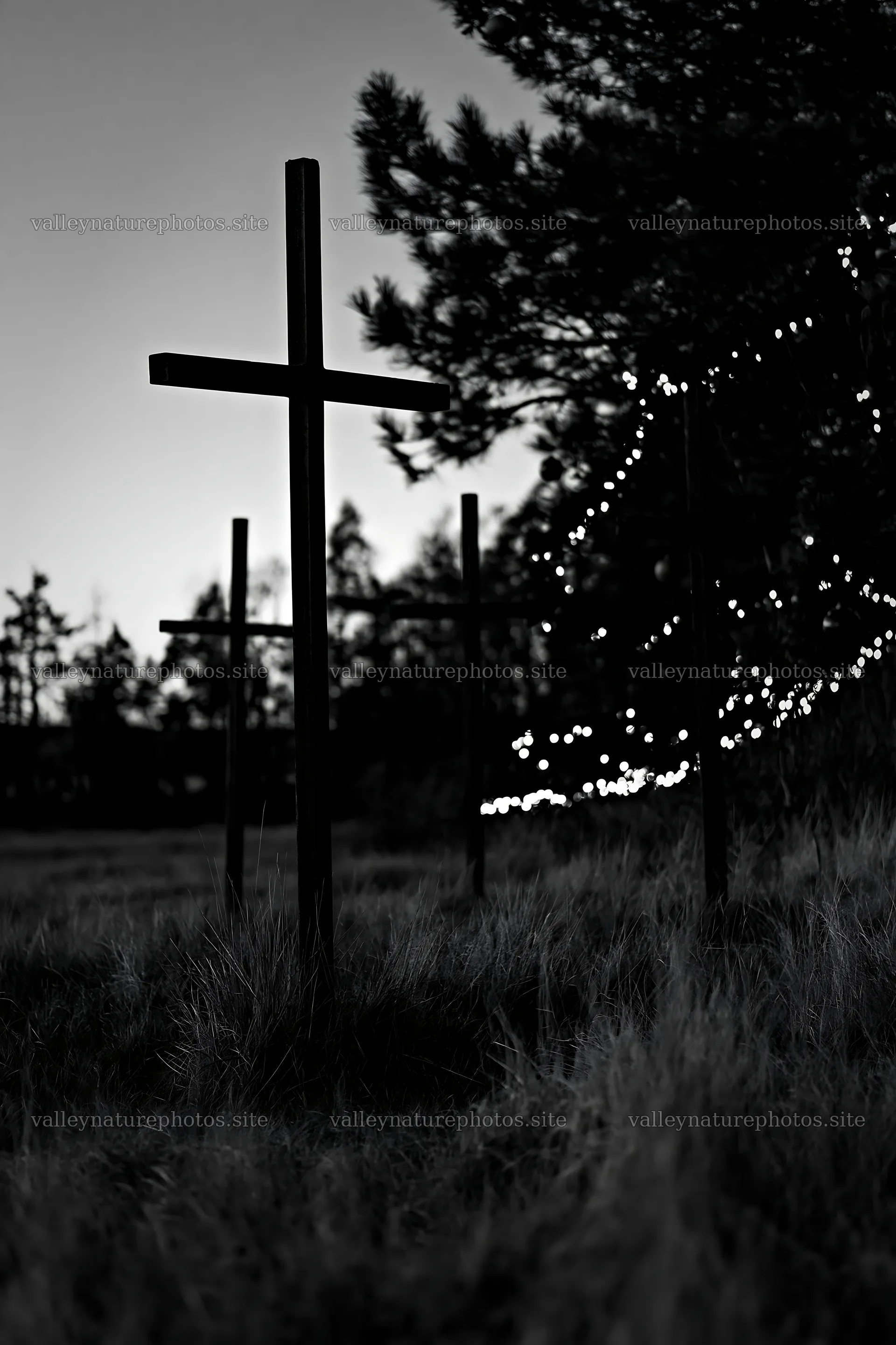 Christian crosses in meadow during dusk – nature photography 6480x9722