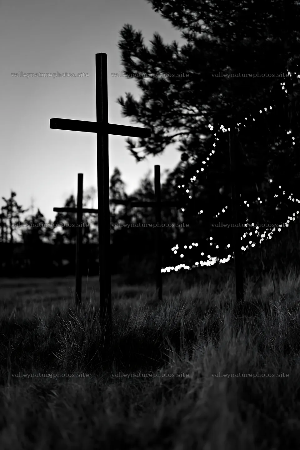 Christian crosses in meadow during dusk – nature photography 6480x9722