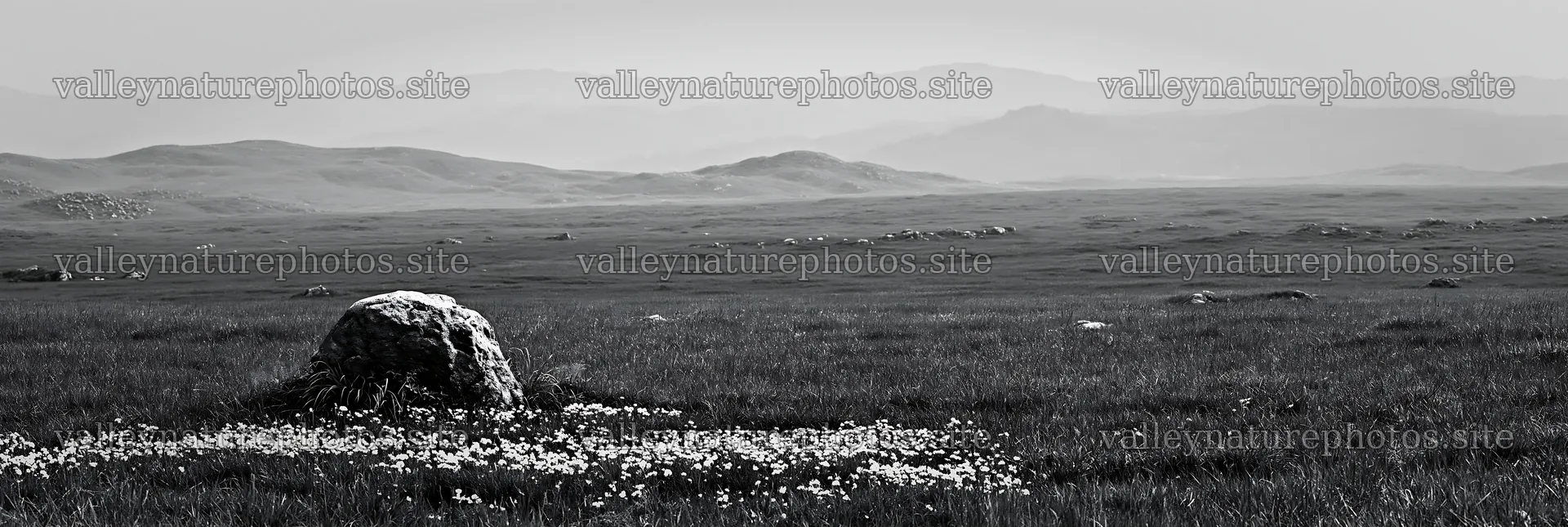 Yamaguchi limestone meadow with pale boulder in the landscape – nature photography 13690x4602