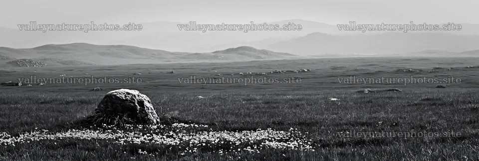 Yamaguchi limestone meadow with pale boulder in the landscape – nature photography 13690x4602