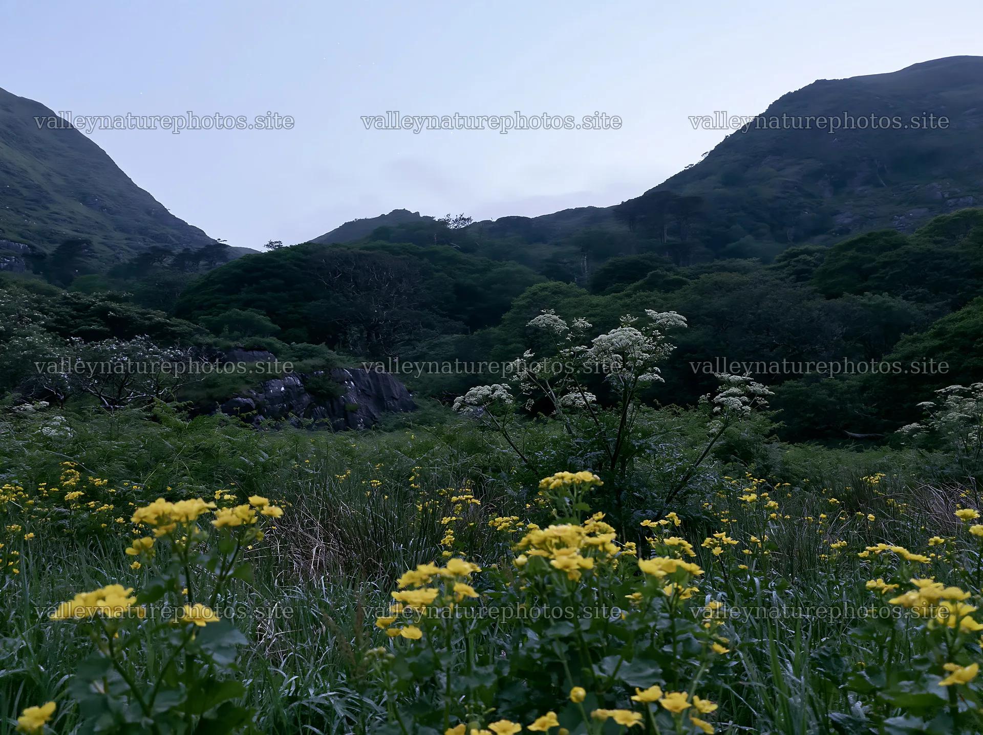 Star-filled meadow amidst mountains and flowers at dusk – nature photography 9174x6866