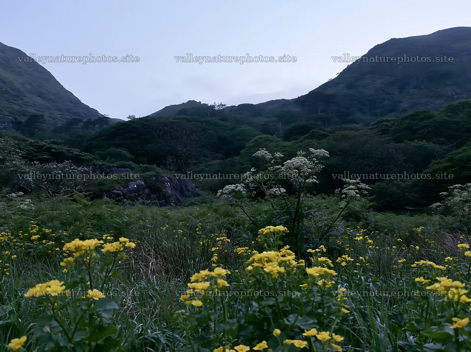 Star-filled meadow amidst mountains and flowers at dusk – nature photography 9174x6866