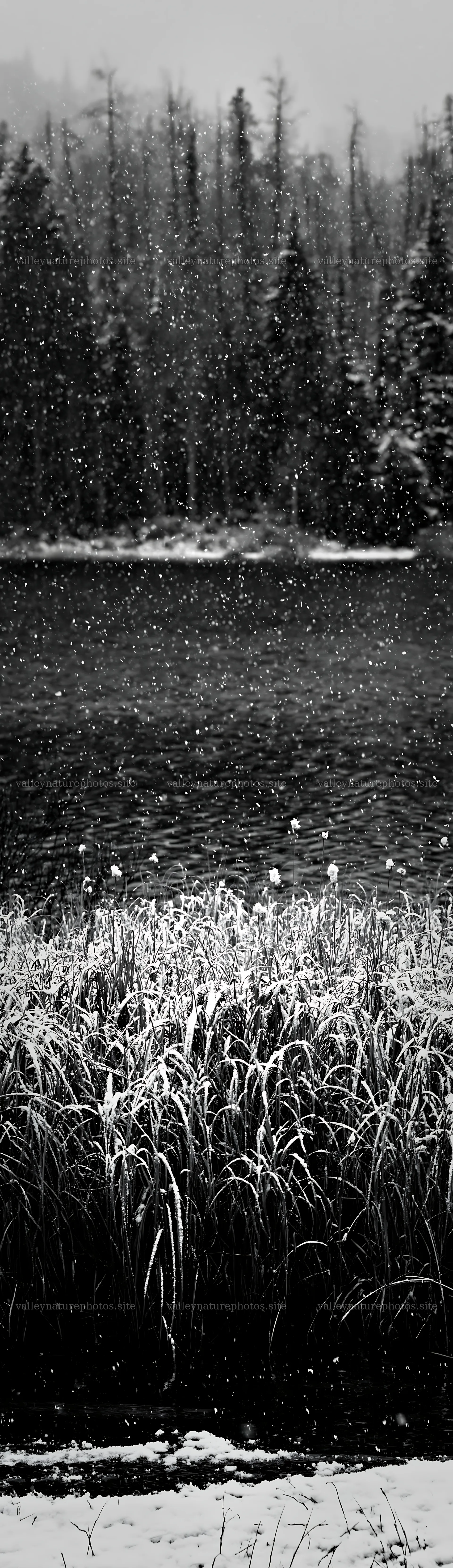 Lakeside meadow after first snowfall with water and snow – nature photography 4268x14762
