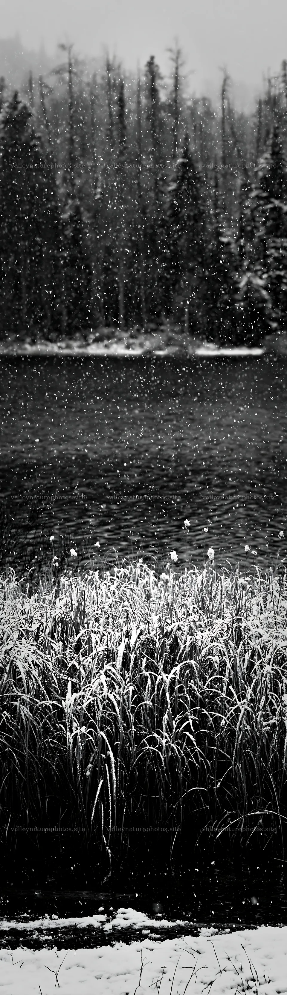 Lakeside meadow after first snowfall with water and snow – nature photography 4268x14762