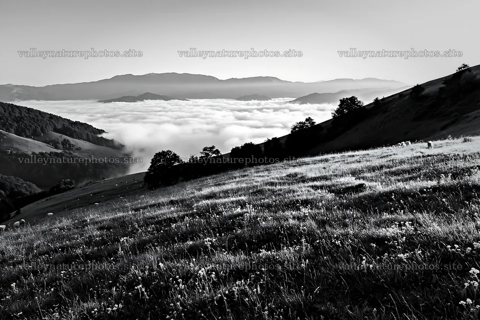 Transylvania summer hay meadows with low clouds in valley – nature photography 9722x6480