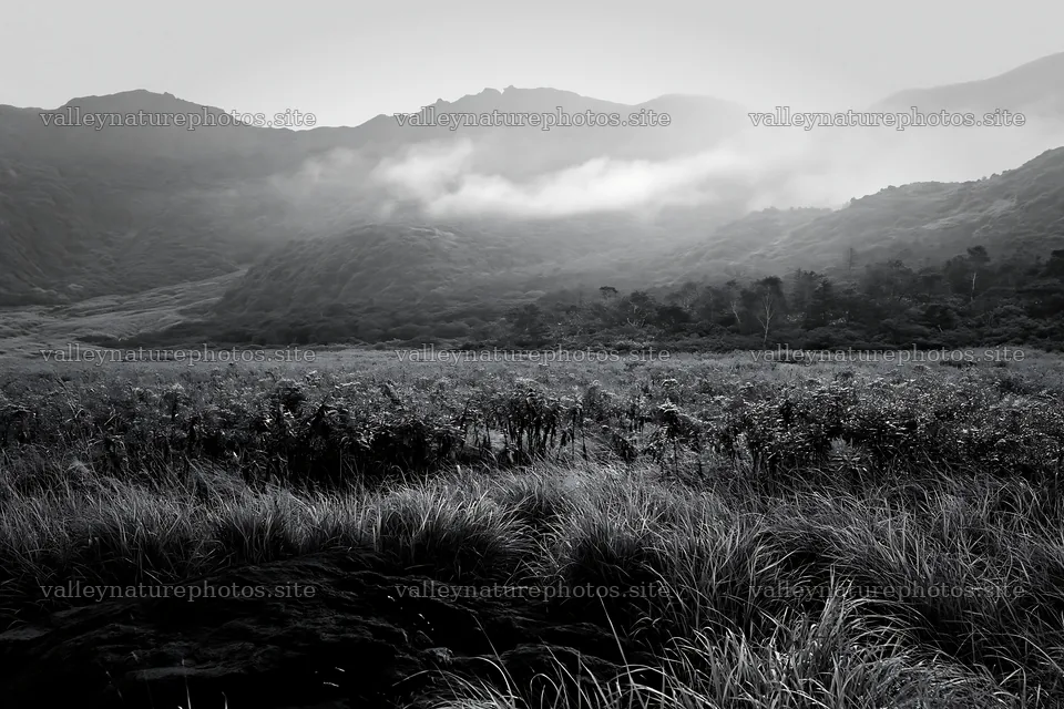 Kumamoto volcanic meadow with dark rocks and foggy mountains – nature photography 9722x6480