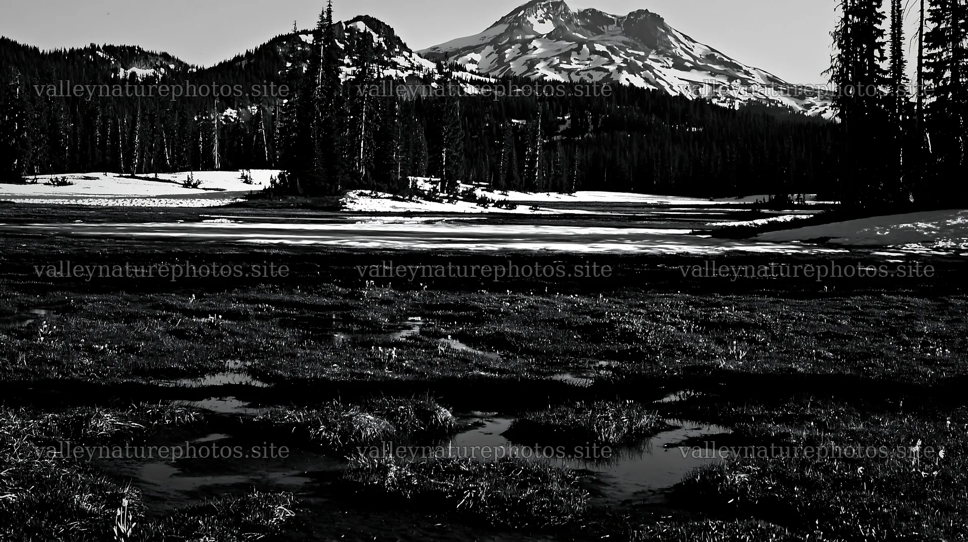 Snowmelt meadow with mountains and trees in the background – nature photography 10608x5938