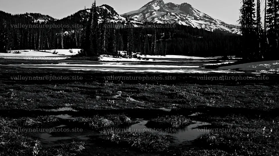 Snowmelt meadow with mountains and trees in the background – nature photography 10608x5938