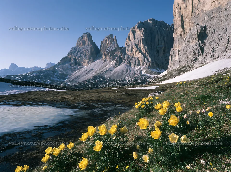 Flowers bloom in frozen tarn meadow under mountain peaks – nature photography 9174x6866