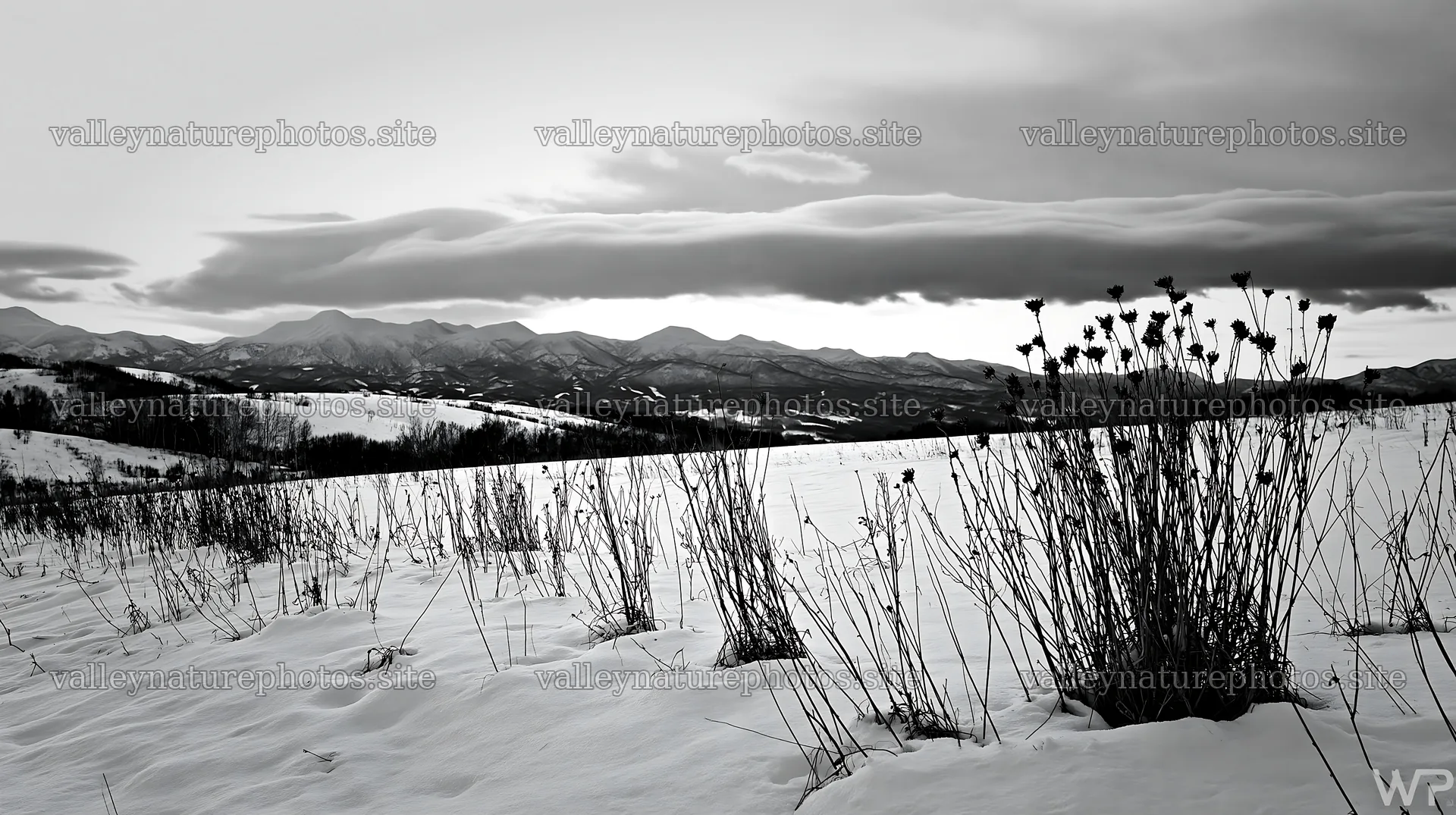 Snow covered hills and meadow in Biei during winter – nature photography 10608x5938