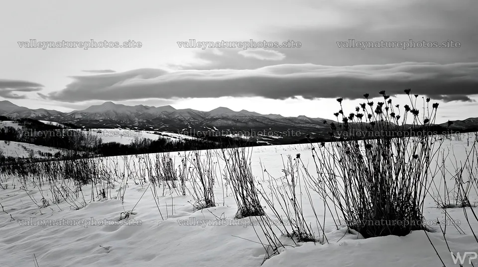 Snow covered hills and meadow in Biei during winter – nature photography 10608x5938
