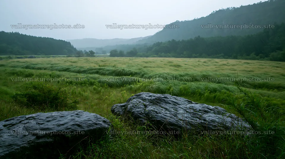 Hiroshima rainy meadow with smooth rocks in foreground – nature photography 10608x5938