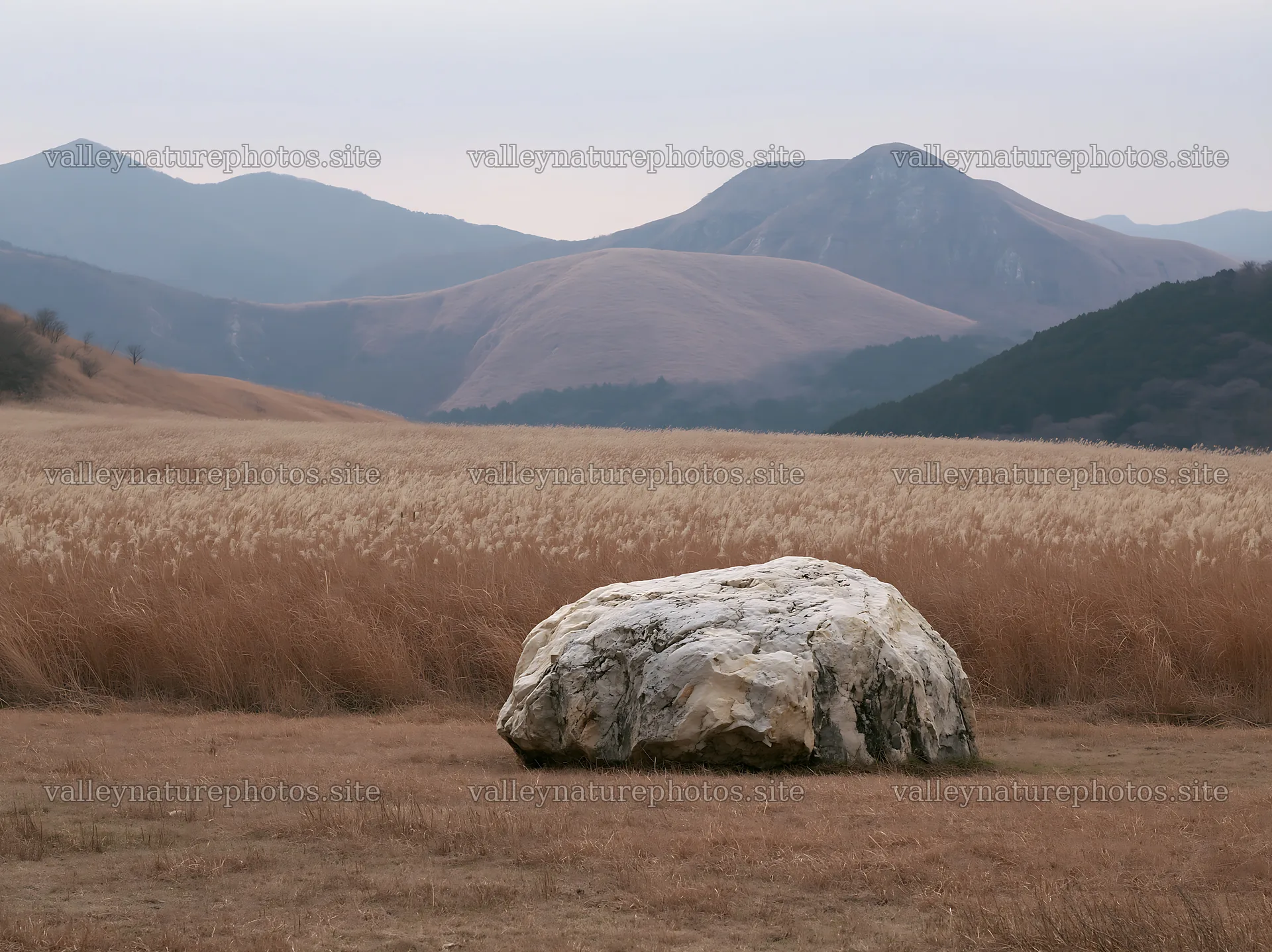 Yamaguchi limestone meadow features pale boulder in dry field – nature photography 9174x6866