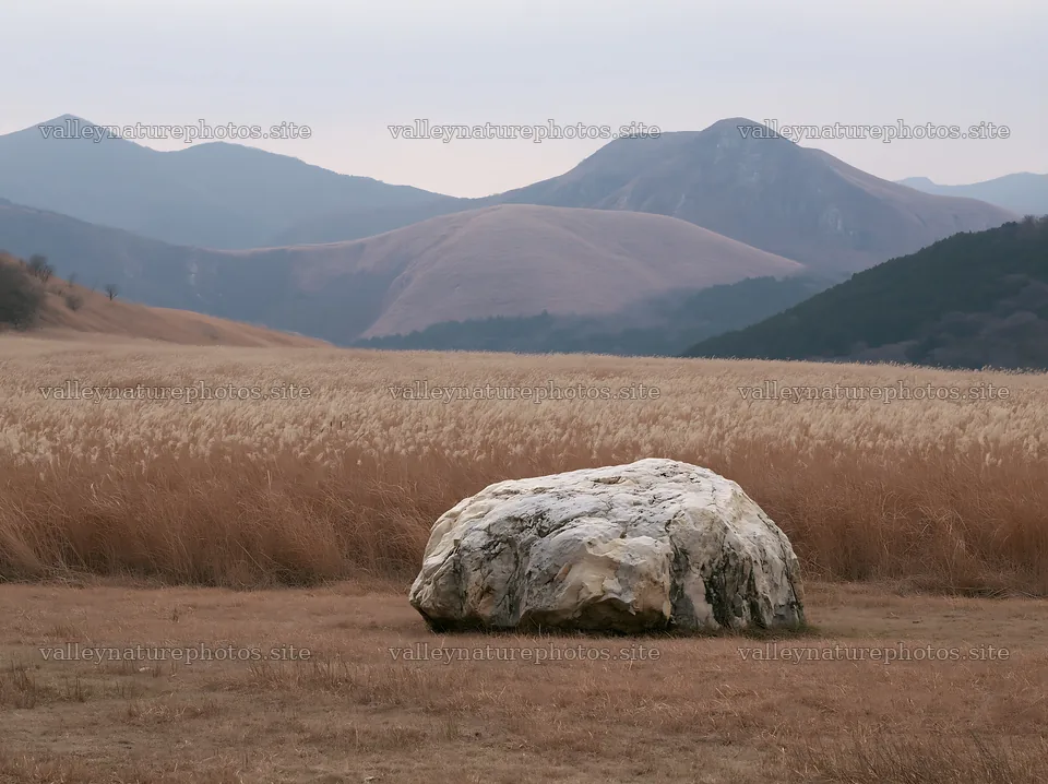 Yamaguchi limestone meadow features pale boulder in dry field – nature photography 9174x6866