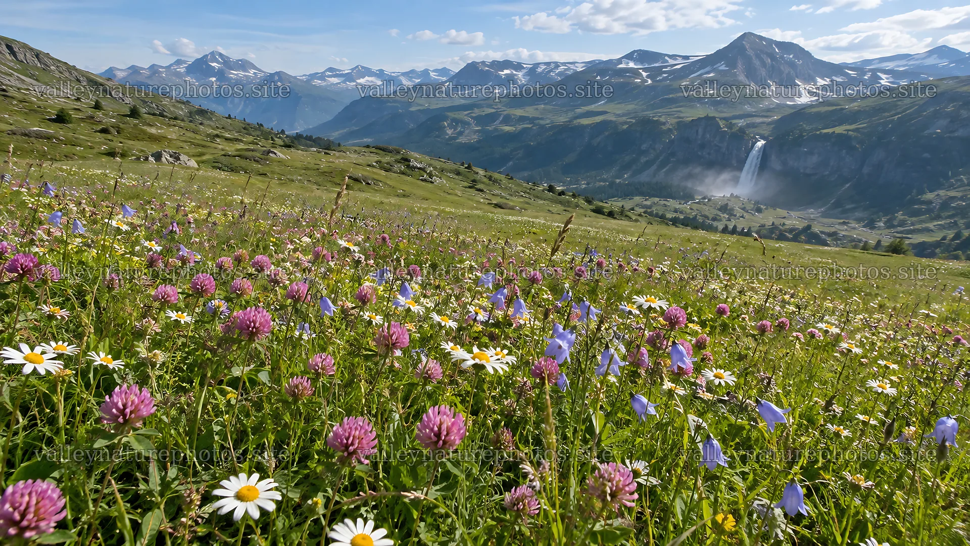 Wildflowers Across a High Mountain Meadow – nature photography 10324x5812