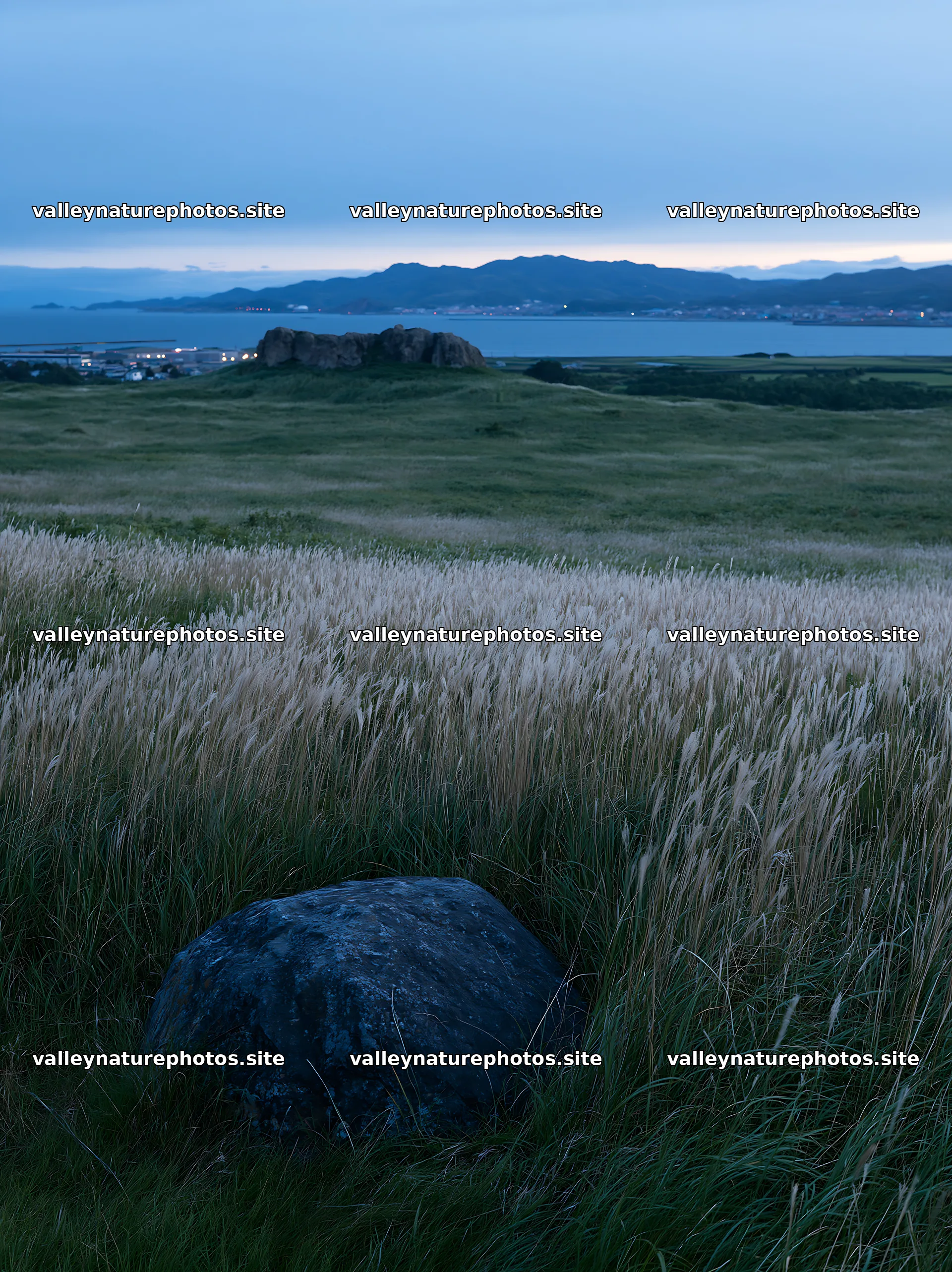 Aomori climate resilient meadow with boulder in evening light – nature photography 6866x9174