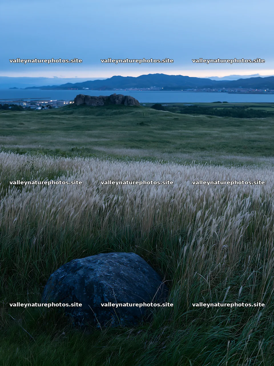 Aomori climate resilient meadow with boulder in evening light – nature photography 6866x9174