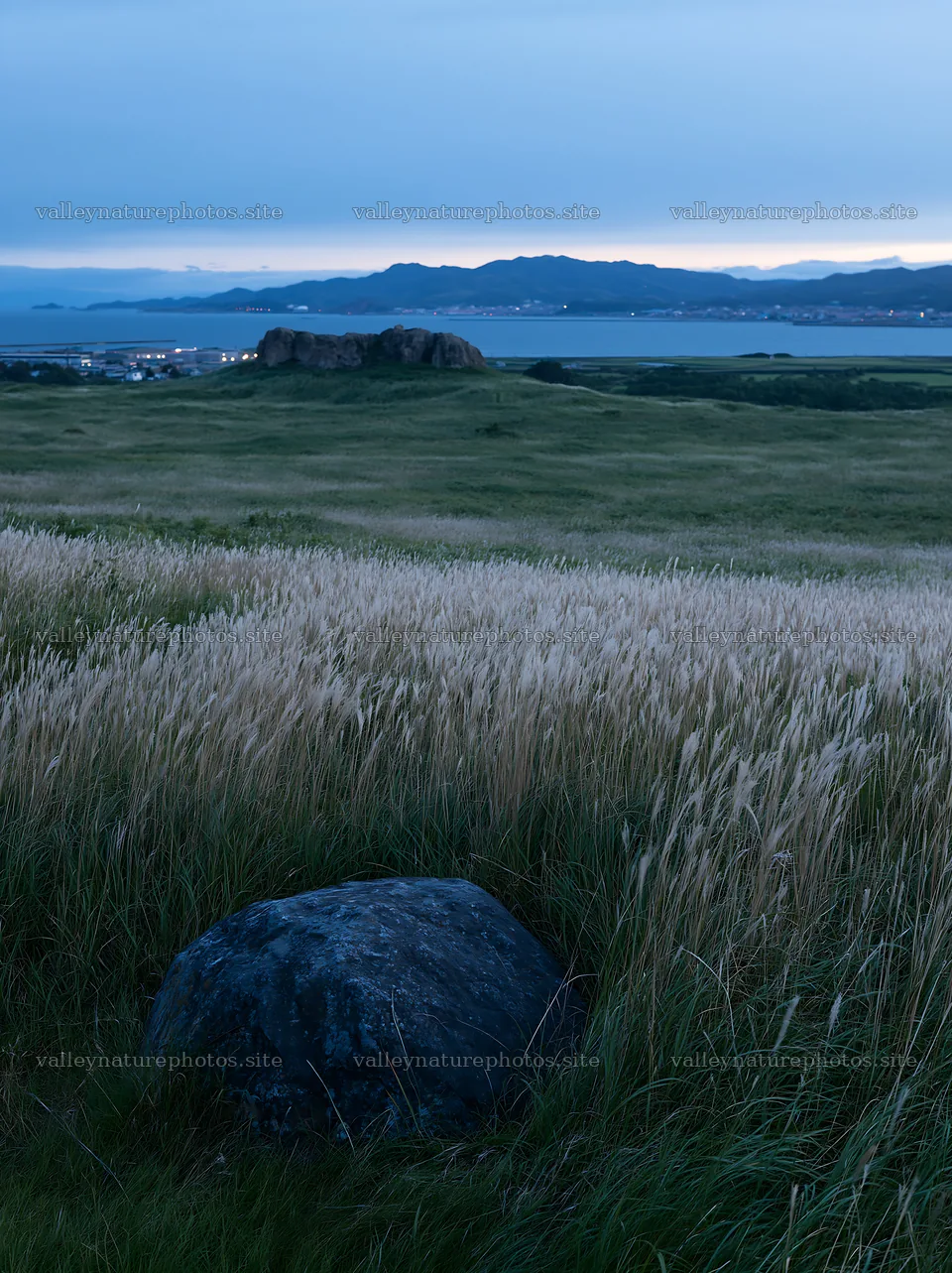 Aomori climate resilient meadow with boulder in evening light – nature photography 6866x9174