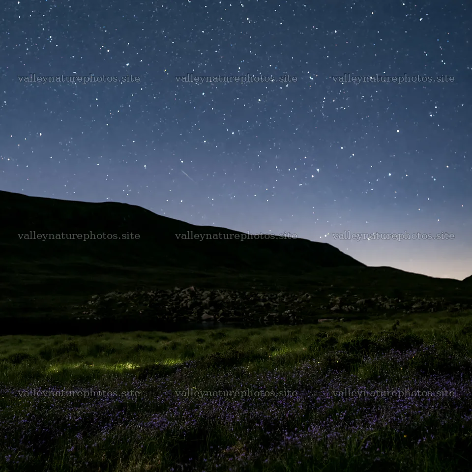 Dark sky over meadow filled with stars at night – nature photography 7938x7938