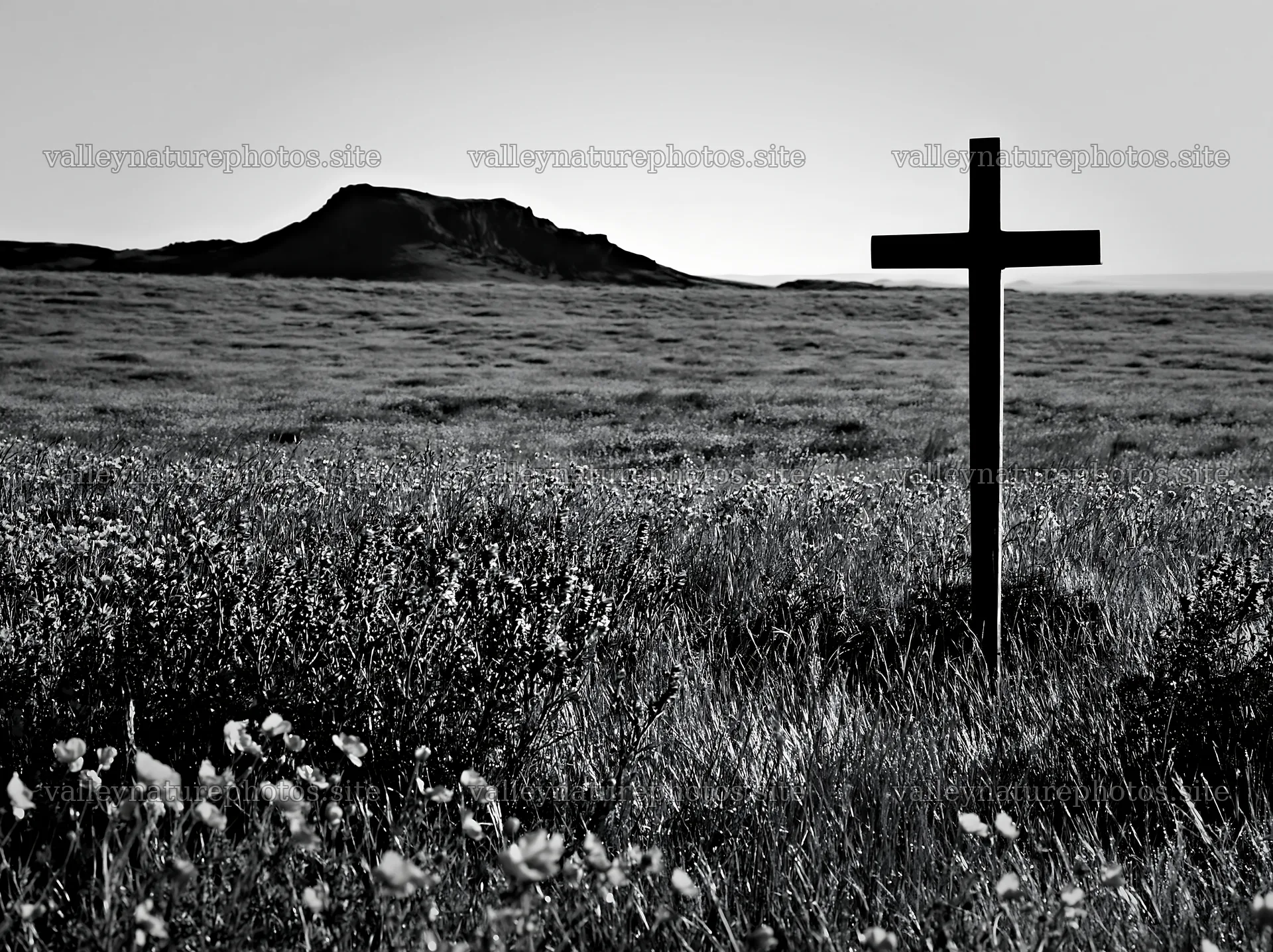Simple Christian cross in meadow landscape – nature photography 9174x6866